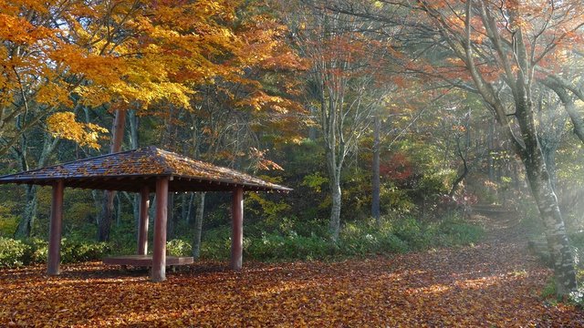 Autumn Colors of Naruko-Gorge in Japan