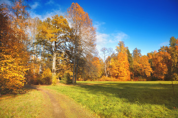 Autumn landscape