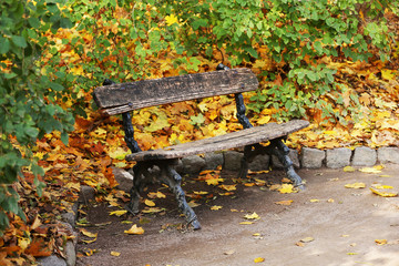 Wooden bench at park in autumn time