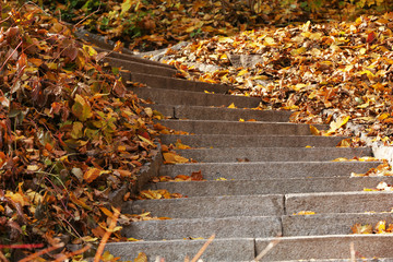 Stone steps in autumn park