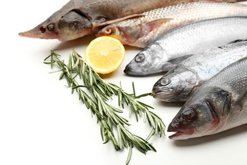 Fresh fish with lemon and rosemary close-up
