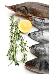 Fresh fish with lemon and rosemary close-up