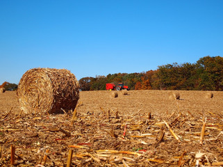 Dried Round Bale in Corn Field