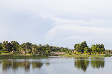 Fototapeta premium swamp within the park