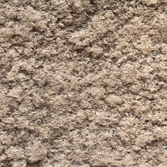 Surface of the wall