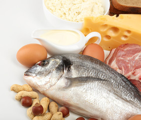 Food high in protein close-up