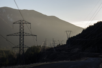 Misty dawn view of electrical distribution wires