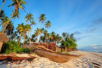Tropisch strand, eiland Zanzibar