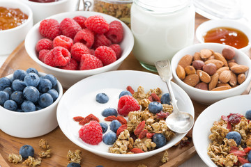 homemade muesli with fresh berries and yogurt for breakfast