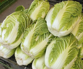Chinese cabbage on display at the market