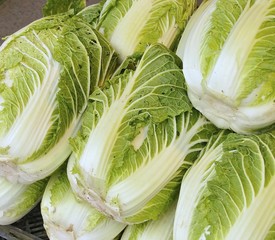 Chinese cabbage on display at the market