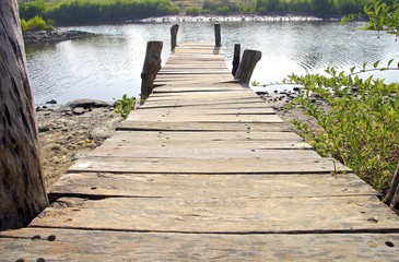 The wooden jetty into lake