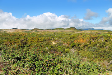 Fototapeta na wymiar nature landscape in Portugal