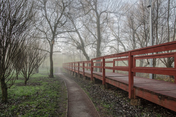 Obraz na płótnie Canvas Туманное утро в городском парке