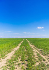 Through the Green In a Field To Pradise