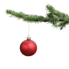 red satin glass ball hanging on christmas branch