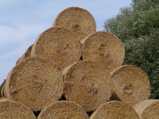 A stack of straw bales on the island Oeland in Sweden