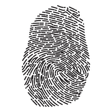 Dashed Line Fingerprint