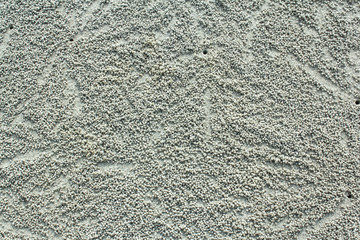 Crab making sand balls on the beach