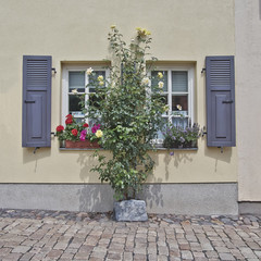 Fototapeta na wymiar picturesque windows and flowers, Altenburg Germany