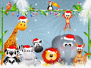 wild animals at Christmas