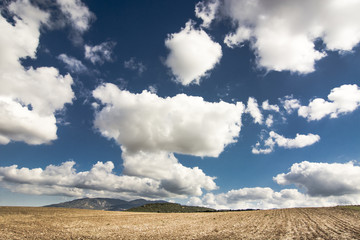 Arid countryside