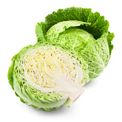 Fototapeta premium cabbage