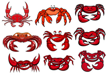 Red cartoon marine crabs set