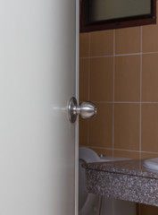 Toilet door