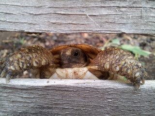 Basta adesso scappo!