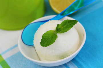 Lemon sorbet garnished with mint leaf