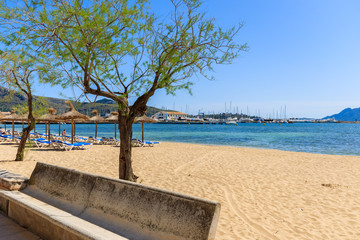 Sandy beach in Pollenca Port with green trees, Majorca island