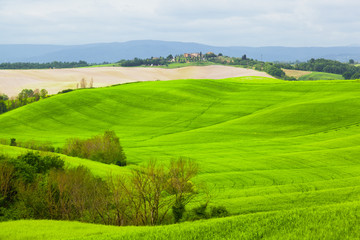 Green hills of Tuscany under the blue sky