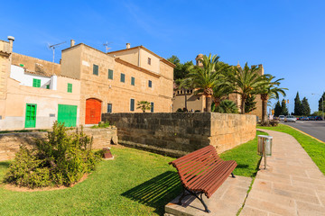 Alley in a park in spring season, Alcudia, Majorca island