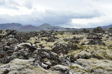 Лавовое поле, Исландия