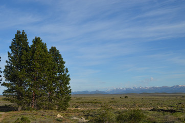 Fototapeta na wymiar patagonian steppe in Bariloche