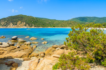 Fototapeta na wymiar Idyllic paradise Cala Pira beach and azure sea water, Sardinia