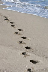 footprints on a sandy beach at the edge of sea