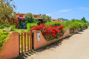 Fototapeta na wymiar Street with holiday villa houses in Costa Rei town, Sardinia