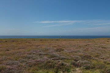 Moorland in France