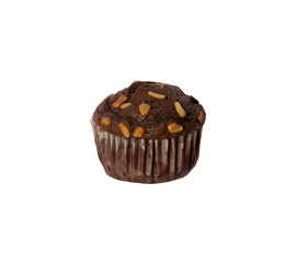 chocolate cupcake isolated on white background