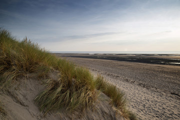 Summer evening landscape view over grassy sand dunes on beach