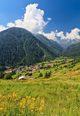 Fototapeta na wymiar Pejo valley on summer, Trentino, Italy