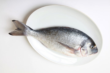 dorada