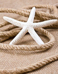 Fototapeta na wymiar Starfish and rope