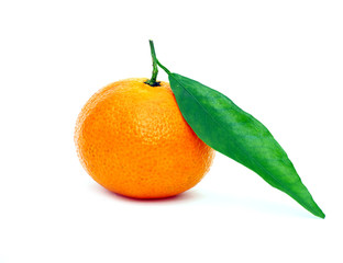  tangerine