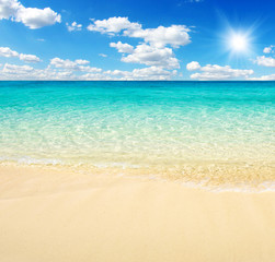 beach and tropical sea