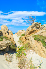 Rocks on sand dunes at Porto Giunco beach, Sardinia island