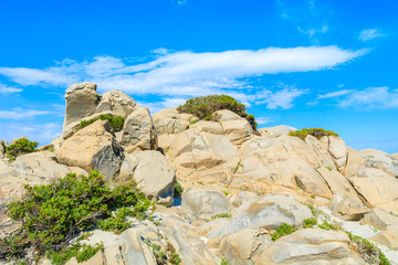 Rocks on sand dunes at Porto Giunco beach, Sardinia island