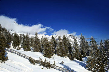 Alpine winter scene - sunny winter day in the mountains